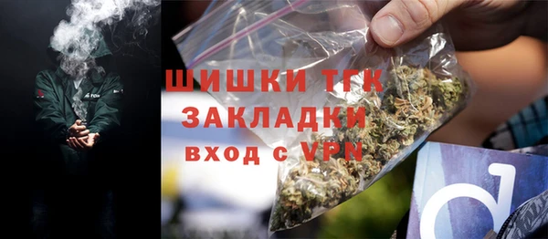 СК Алексин