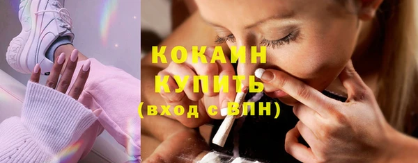бошки Пересвет