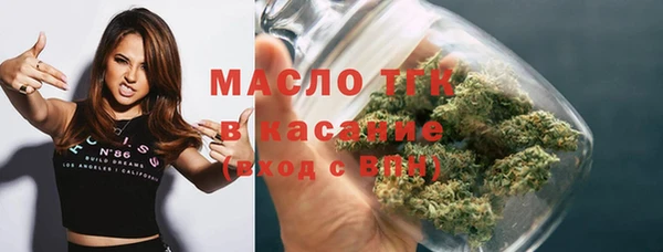 индика Арсеньев