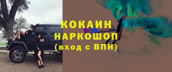 индика Арсеньев