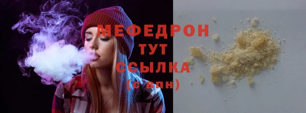 индика Арсеньев