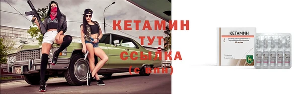 дмт Аркадак