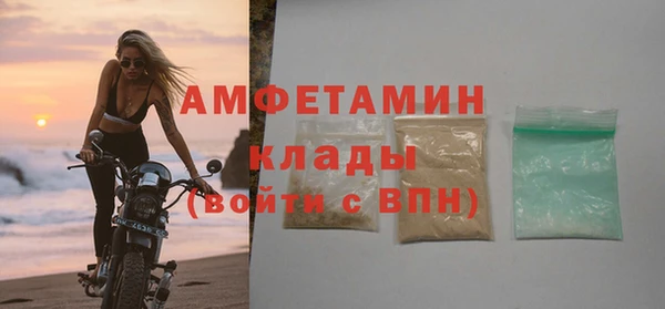 индика Арсеньев